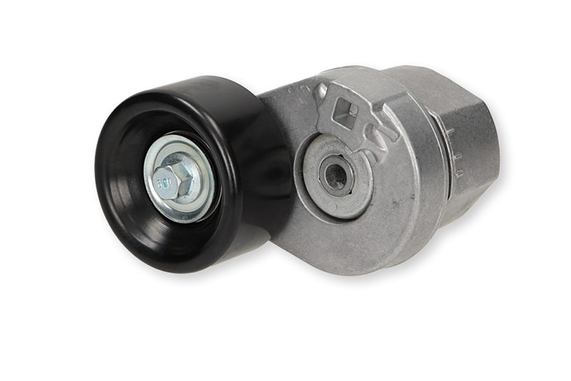 Rolo tensor correia trapezoidal estriada Ford Transit 2.4